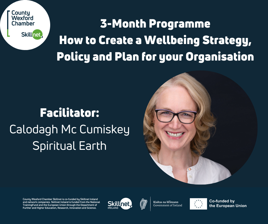 Create a Wellbeing Strategy, Policy and Plan for your Organisation  – Starting 09 Oct – €650
