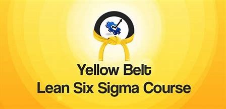 Lean Six Sigma Yellow Belt – Start Anytime – €29
