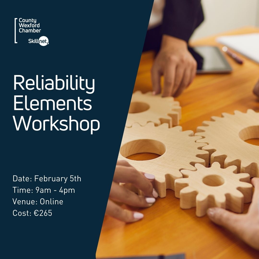 Reliability Elements/Reliability Engineering Workshop (online) 05th of February 2025